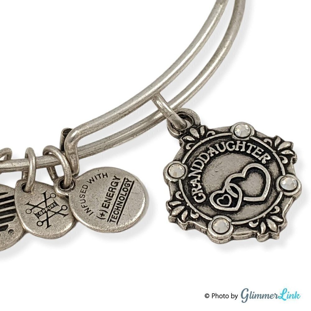 Alex and Ani Granddaughter Bracelet Because I Love You Silver Tone Charm Bangle